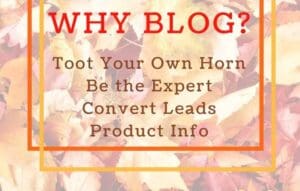 Why-You-Should-Start-Blogging